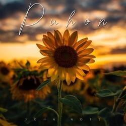 Puhon