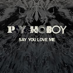 Say You Love Me