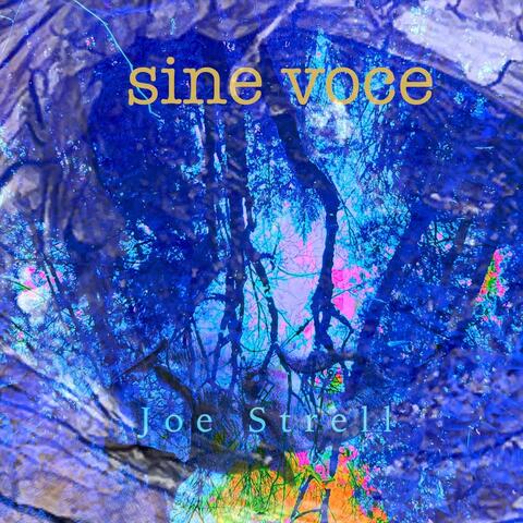 Sine Voce