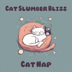 Feline Float: Music for Cats