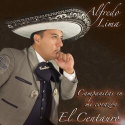 Campanitas en Mi Corazon