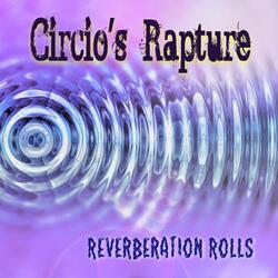 Reverberation Rolls