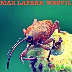 John Weevil, Mayor of Weevilton