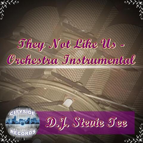 D.J. Stevie Tee