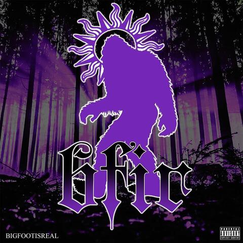 bfir