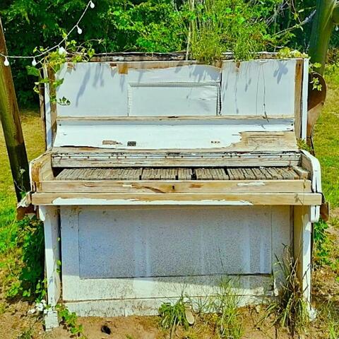 Techno Love and Classical