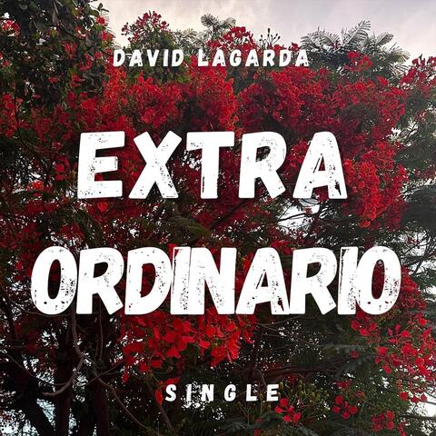 EXTRAORDINARIO