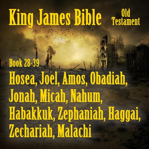 King James Bible, Book 28-39: Hosea, Joel, Amos, Obadiah, Jonah, Micah, Nahum, Habakkuk, Zephaniah, Haggai, Zechariah, Malachi