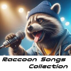 Night of Raccoon