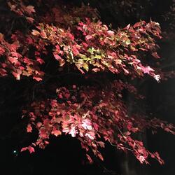 gravity well III