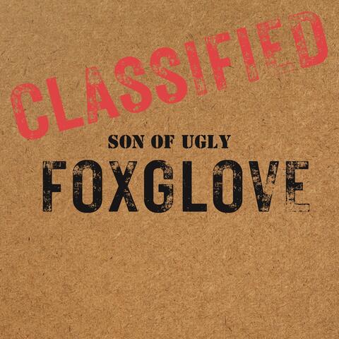 FOXGLOVE