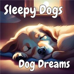 Dog Drowsy Whispers