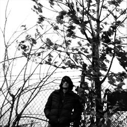 Nobody's Brother III