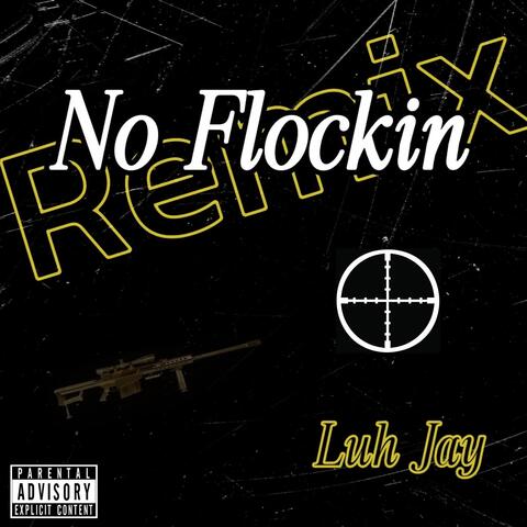 No Flockin (Remix)
