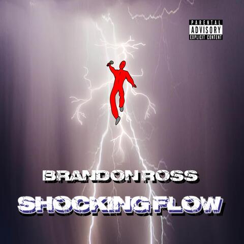 Shocking Flow