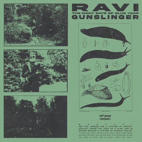 The Many Days of Slug Year