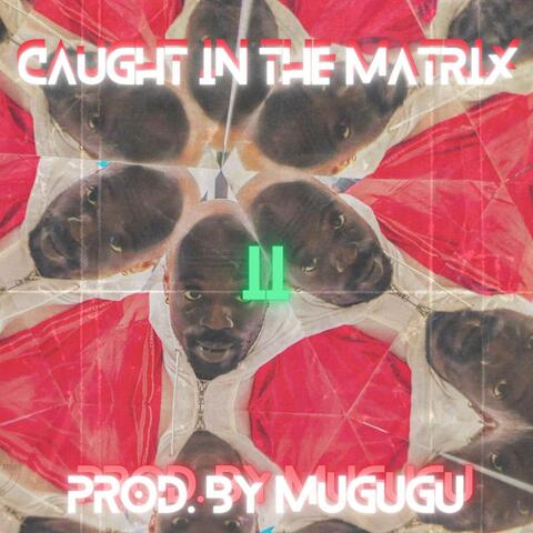 Caught in the Matrix 2