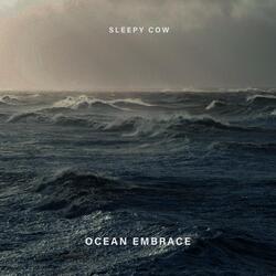 Ocean Embrace