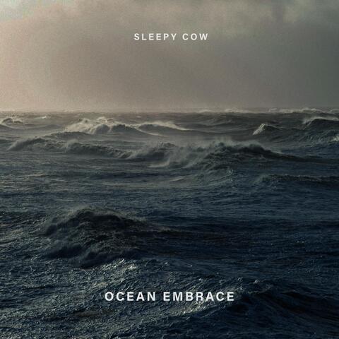 Ocean Embrace