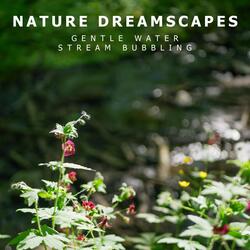 Gentle Water Stream Bubbling