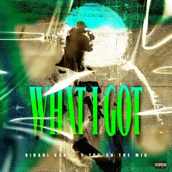 WHAT I GOT (feat. Bihari Babbu)