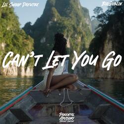Can't Let You Go (feat. BigGoblin)