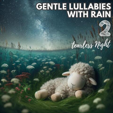 Gentle Lullabies with Rain 2