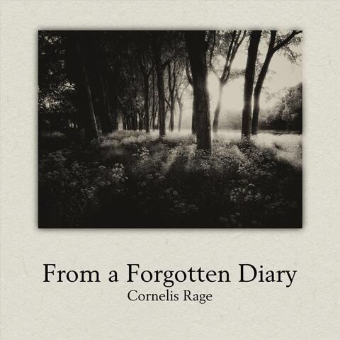 From a Forgotten Diary