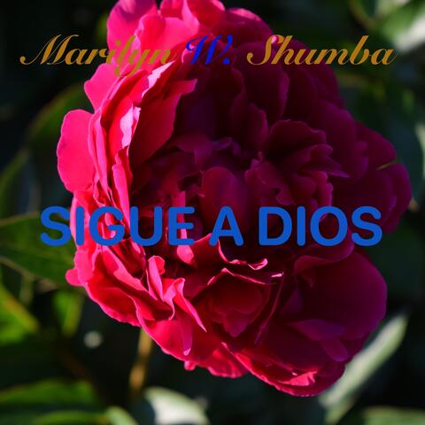 Sigue a Dios