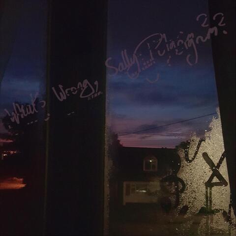 What's Wrong, Sally Pilgrim?