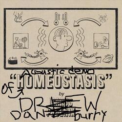 Homeostasis (Acoustic Demo)