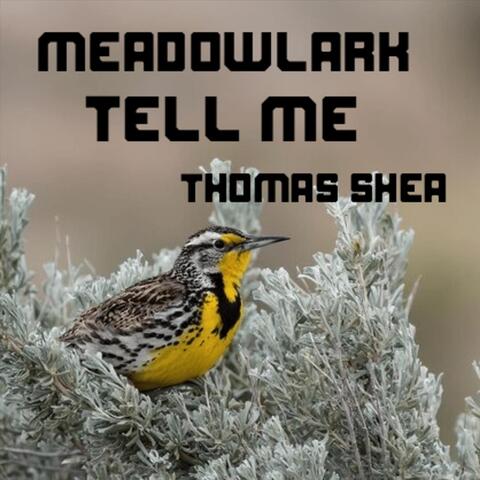 Meadowlark Tell Me