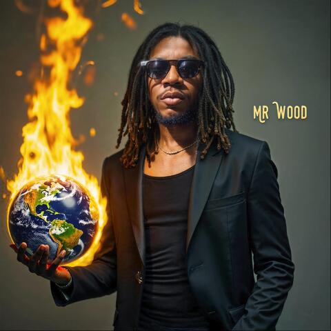 Mr Wood