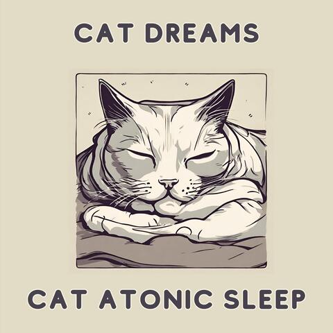Cat Dreams