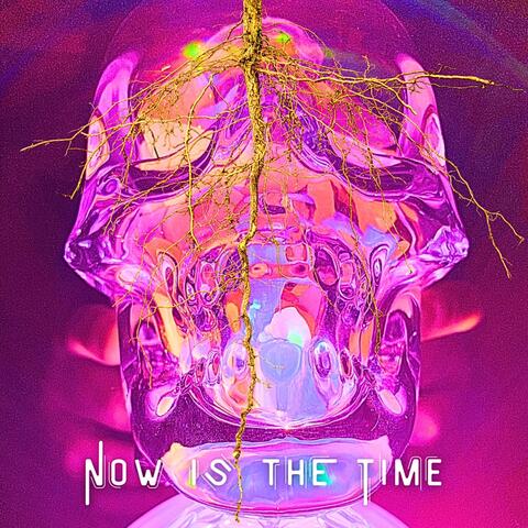 Now Is the Time