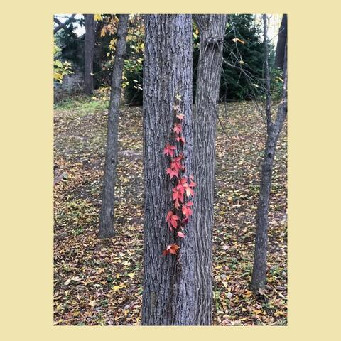 Michigan
