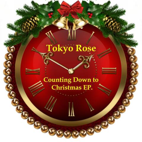Counting Down to Christmas