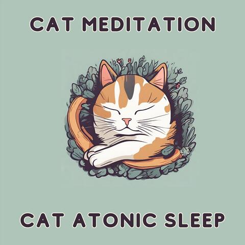 Cat Meditation