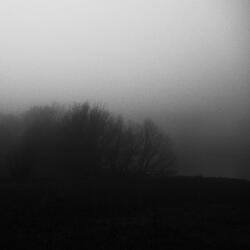 The Path Where Memory Weaves