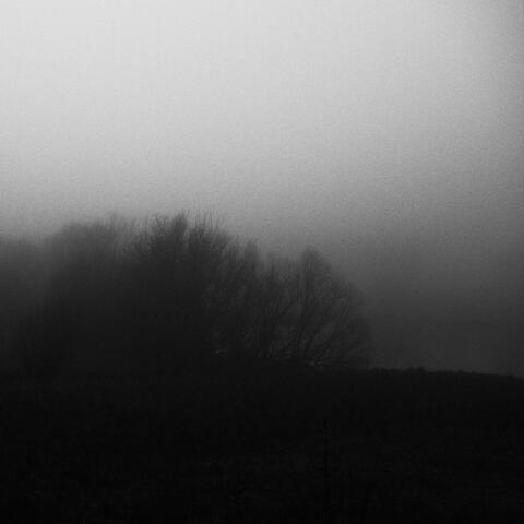 The Mist