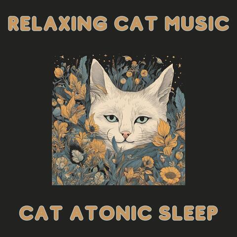Relaxing Cat Music