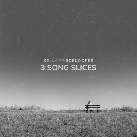 3 Song Slices