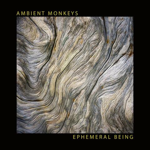 Ephemeral Being