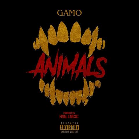 Gamo