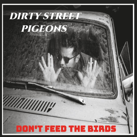 Don't Feed the Birds