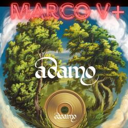 Adamo