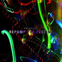 Les formes syncopales des blocs auriculo-ventriculaires de la myocardite rhumatismale à propos d'un cas ayant nécessité une stimulation endocavitaire transitoire