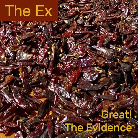 Great! / The Evidence