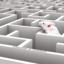 Everyone Is Nowhere