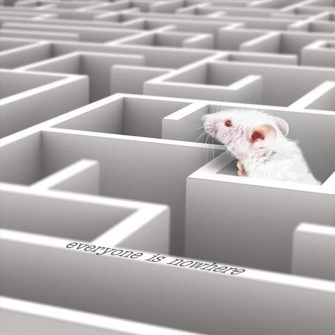 Everyone Is Nowhere